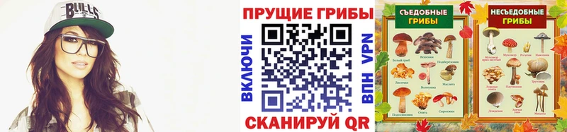Псилоцибиновые грибы Psilocybe купить наркотик shop состав Вихоревка