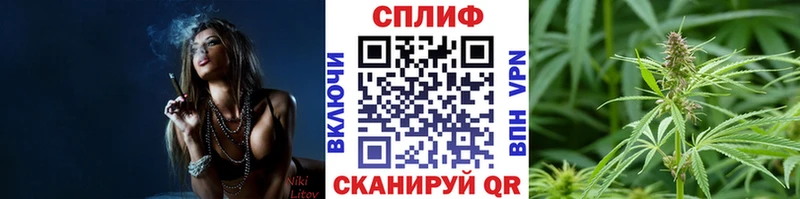 Бошки марихуана тримм  купить  сайты  гидра ссылка  Вихоревка 